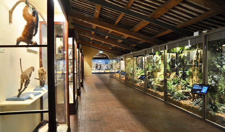 Museo Storia Naturale